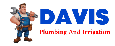 Trusted plumber in RISING FAWN